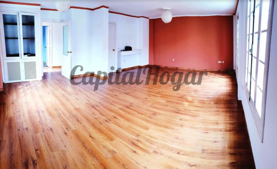Jerez, zona Real Escuela Ecuestre